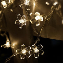 Load image into Gallery viewer, 10M 100LED