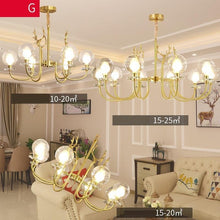 Load image into Gallery viewer, Luminaire Pendant Light