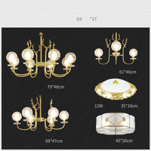 Load image into Gallery viewer, Luminaire Pendant Light